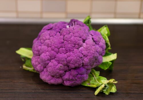 כרובית סגולה